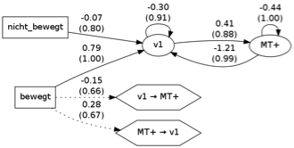 rendered dcm model example